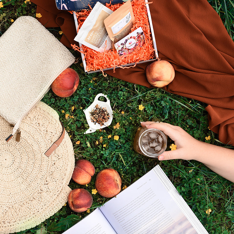 🌿 Le secret des plantes