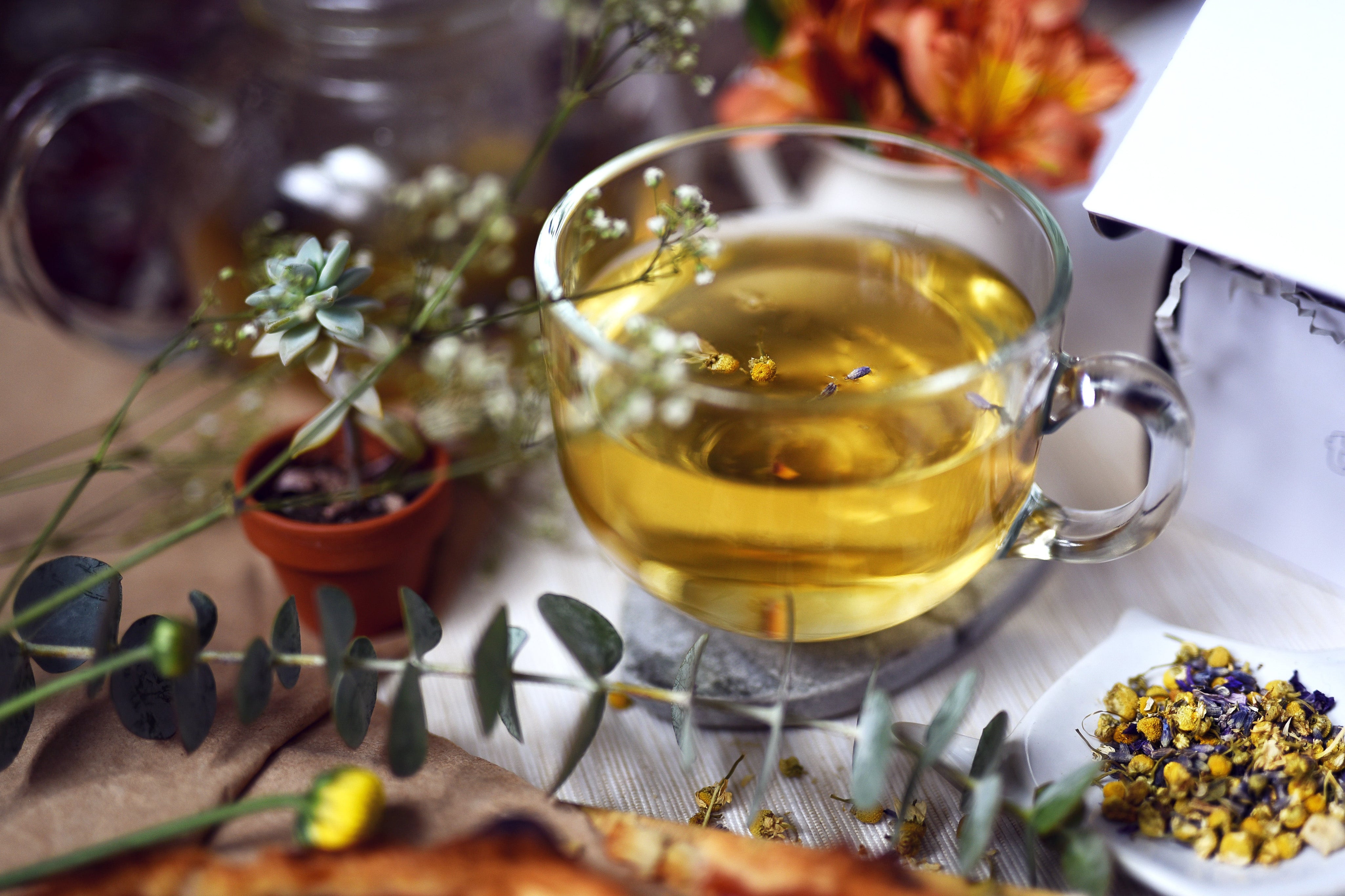 Tout savoir sur le thé vert : origines, bienfaits et secrets d’infusion