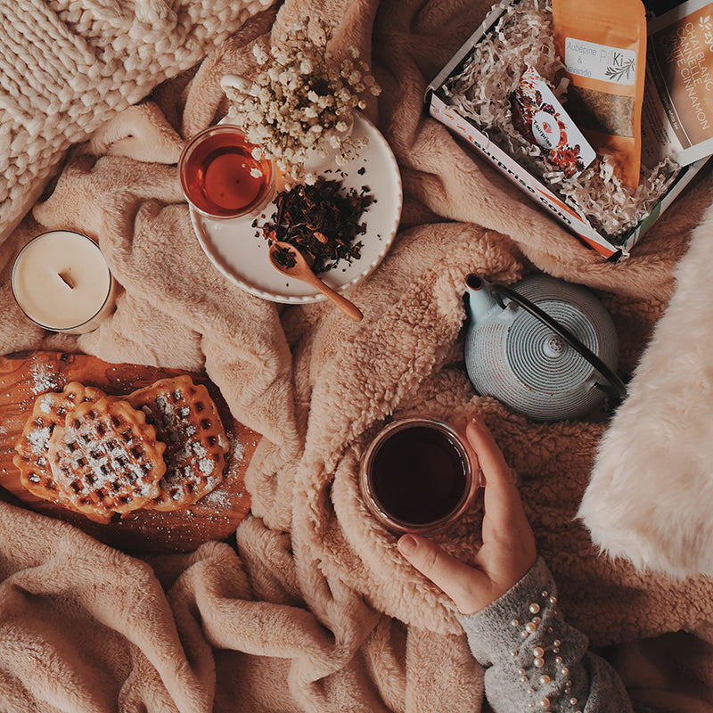 Voyage hivernal Cosy