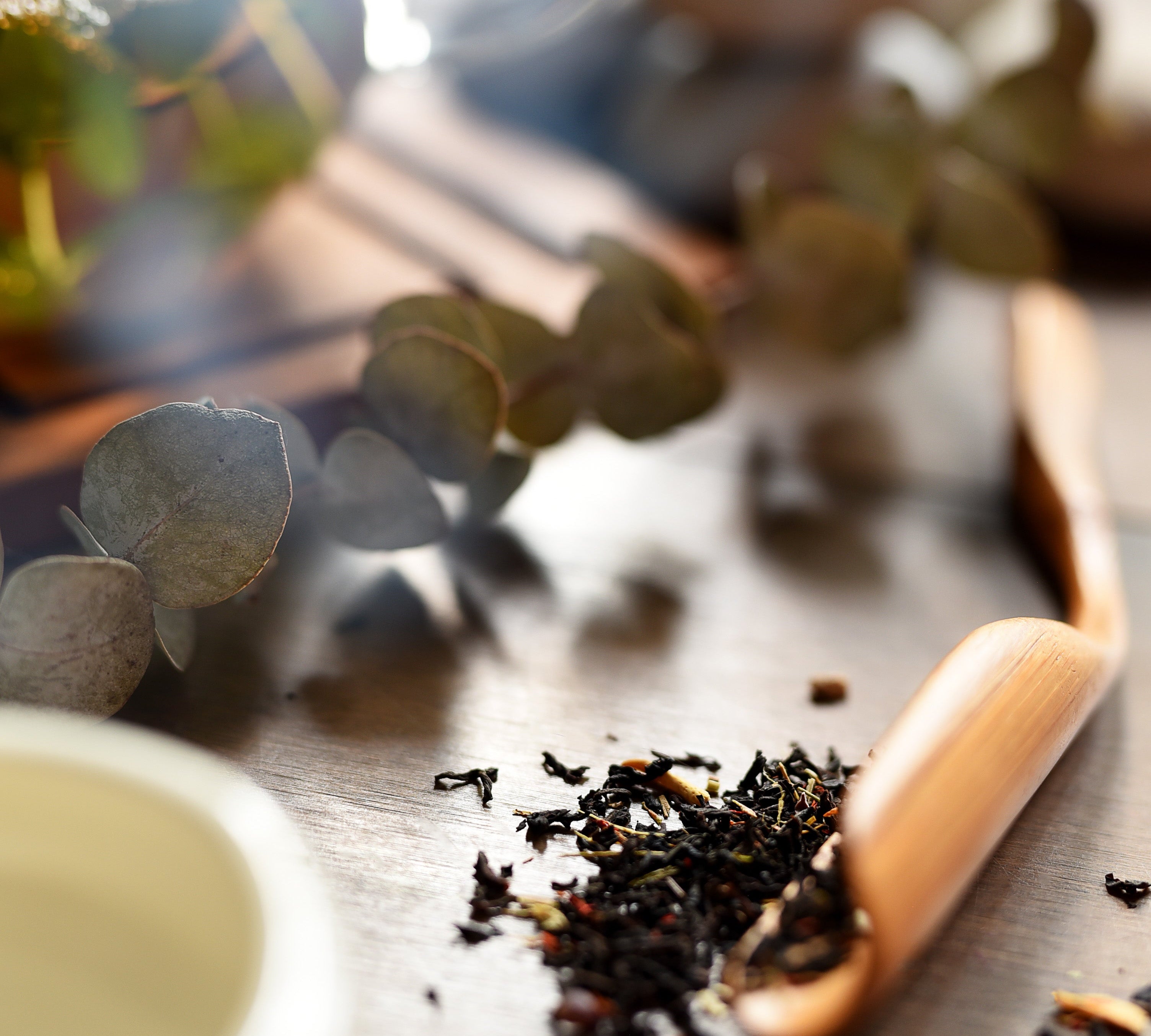 Comment découvrir le thé quand on ne s’y connaît pas (sans se tromper)