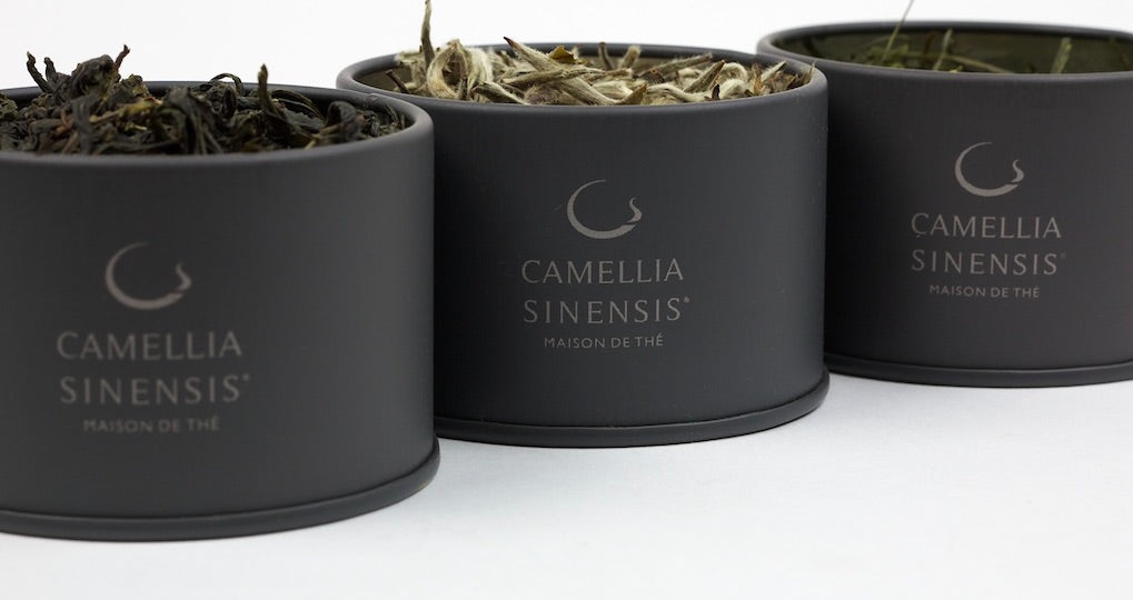 Camellia Sinensis, la maison de thé de référence au Québec