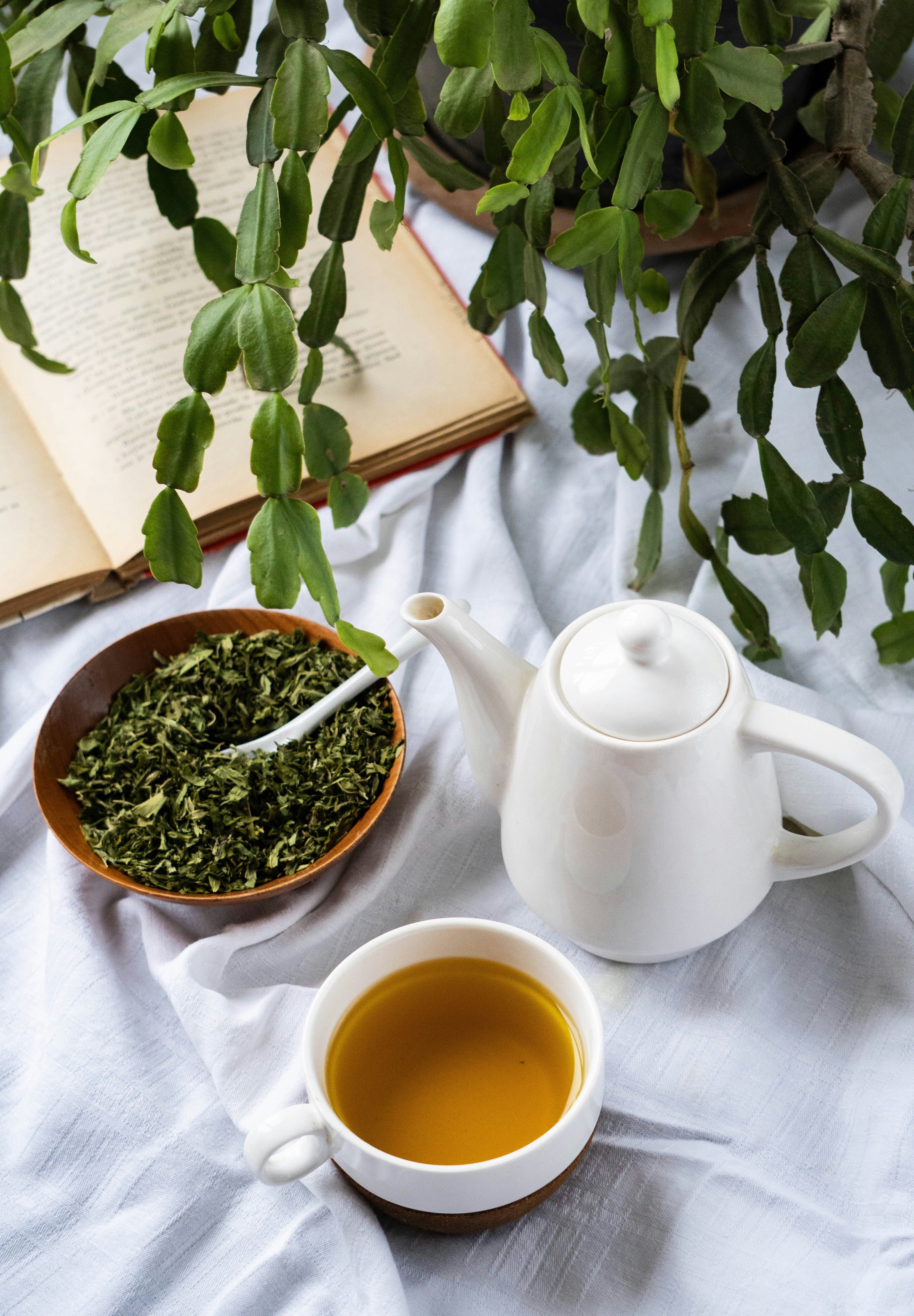 Maison de thé Cha-Yi