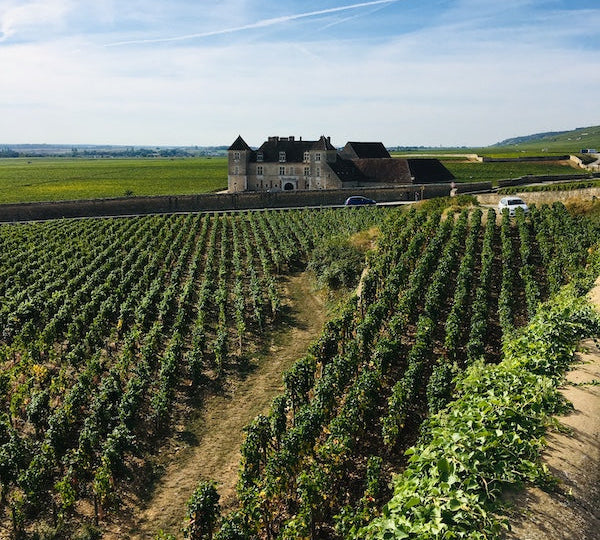 Les thés du Clos Vougeot, délicat comme un bon vin