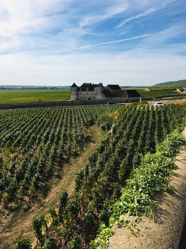 Les thés du Clos Vougeot, délicat comme un bon vin