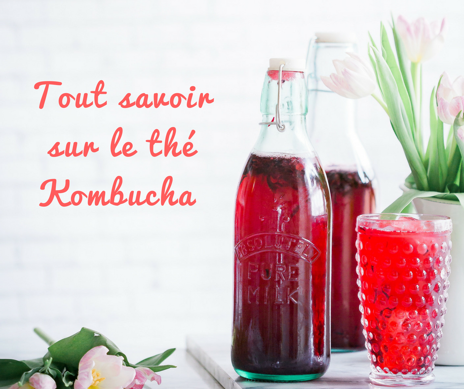 Tout savoir sur le thé Kombucha