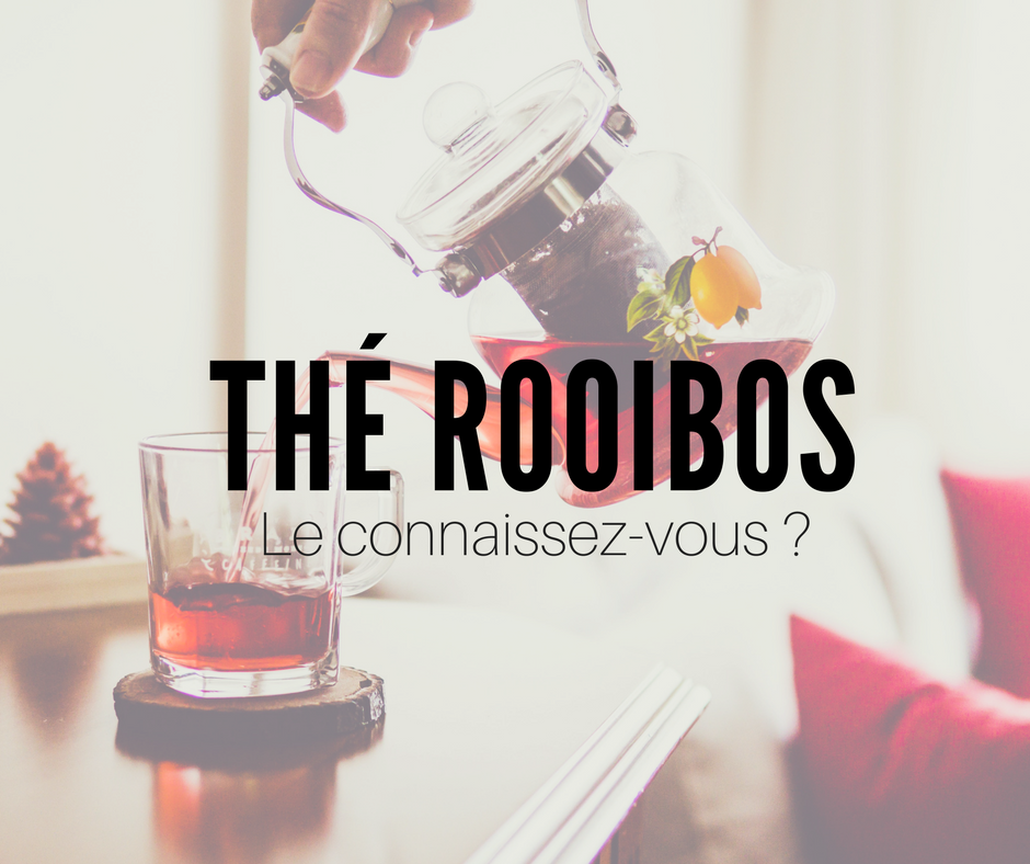 Le thé Rooibois, le connaissez-vous vraiment ?