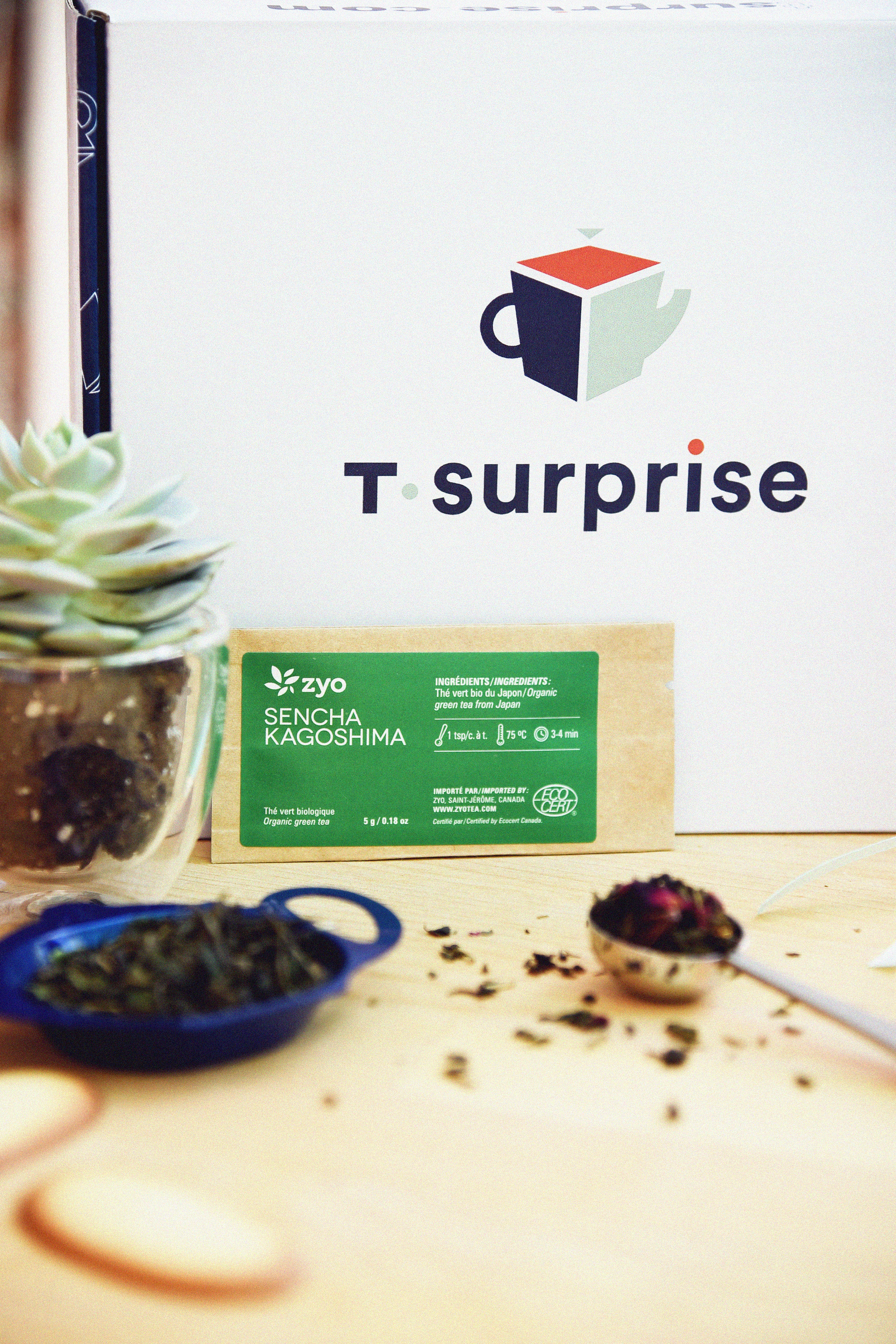 Mini Coffret Découverte T•Surprise