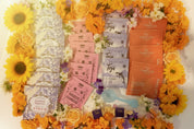 Coffret Les premiers rayons – Thés & infusion du printemps